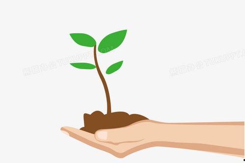 小树苗漫画,成长中的欢笑与泪水